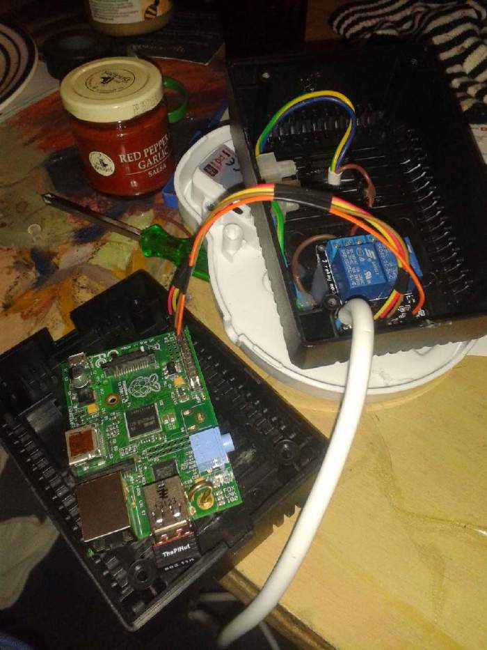 Raspberry Pi and relay